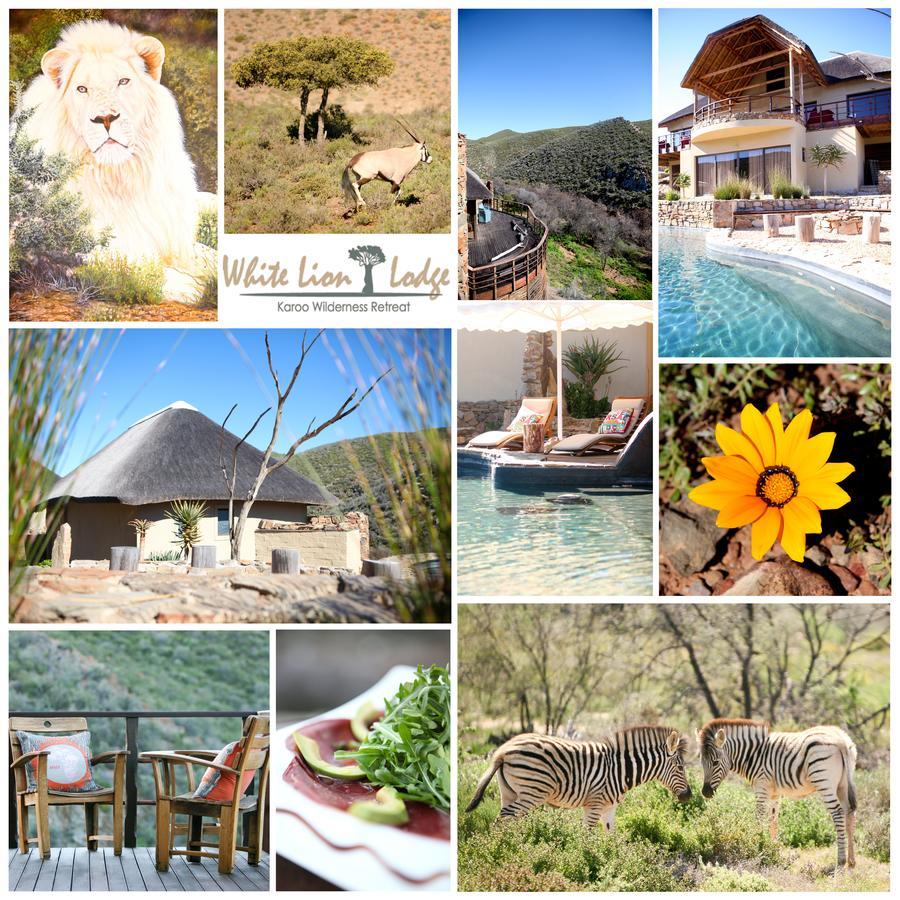 White Lion Lodge On Sanbona Монтегю Экстерьер фото